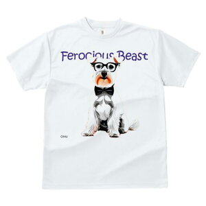 ~j`AViEU[ TVc  j[NfUCY LbY t@  t vg lJWA 킢 lԗp Mtg I ҏ΍ Kl ~j`AViEU