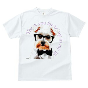 ~j`AViEU[ TVc  j[NfUCfB[X t@  t vg lJWA 킢 lԗp Mtg I ҏ΍ Kl ~j`AViEU[ 