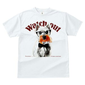 EGXgnChzCgeA TVc  j[NfUCfB[X t@  t vg lJWA 킢 lԗp Mtg I ҏ΍ Kl EGXgnC