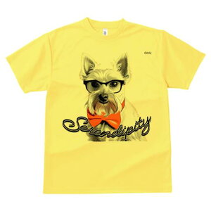 EGXgnChzCgeA TVc  j[NfUCY LbY t@  t vg lJWA 킢 lԗp Mtg I ҏ΍ Kl EGXgn