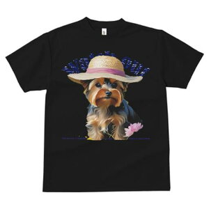 [NV[eA TVc  j[NfUCfB[X t@  t vg lJWA 킢 lԗp Mtg I ҏ΍ Xq [NV[eA 