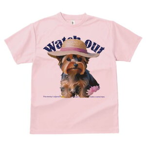 [NV[eA TVc  j[NfUCfB[X t@  t vg lJWA 킢 lԗp Mtg I ҏ΍ Xq [NV[eA 