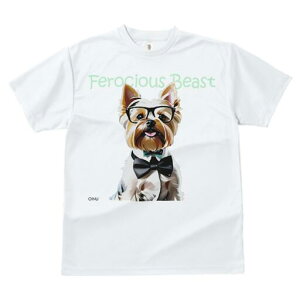 [NV[eA TVc  j[NfUCY LbY t@  t vg lJWA 킢 lԗp Mtg I ҏ΍ Kl [NV[eA lN