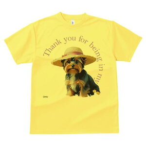 [NV[eA TVc  j[NfUCfB[X t@  t vg lJWA 킢 lԗp Mtg I ҏ΍ Xq [NV[eA {