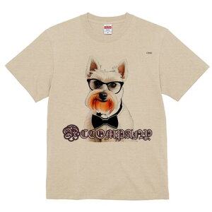 EGXgnChzCgeA TVc  j[NfUCfB[X t@  t vg lJWA 킢 lԗp Mtg I ҏ΍ Kl EGXgnC