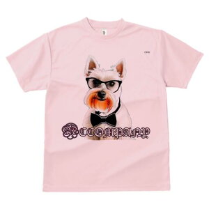 EGXgnChzCgeA TVc  j[NfUCfB[X t@  t vg lJWA 킢 lԗp Mtg I ҏ΍ Kl EGXgnC