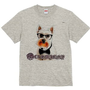 EGXgnChzCgeA TVc  j[NfUCY LbY t@  t vg lJWA 킢 lԗp Mtg I ҏ΍ Kl EGXgn