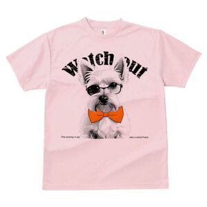 EGXgnChzCgeA TVc  j[NfUCfB[X t@  t vg lJWA 킢 lԗp Mtg I ҏ΍ lN^C EGXgn