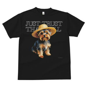 [NV[eA TVc  j[NfUCfB[X t@  t vg lJWA 킢 lԗp Mtg I ҏ΍ Xq [NV[eA