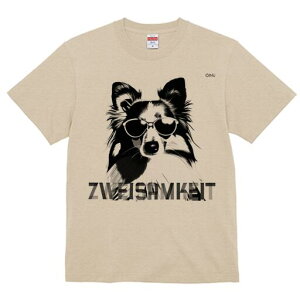 VFbghV[vhbO TVc  j[NfUCfB[X t@  t vg lJWA 킢 lԗp Mtg I ҏ΍ TOX VFbghV