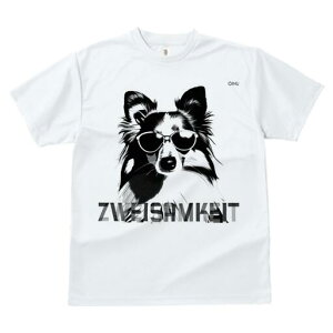 VFbghV[vhbO TVc  j[NfUCfB[X t@  t vg lJWA 킢 lԗp Mtg I ҏ΍ TOX VFbghV