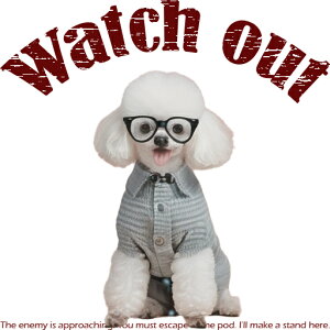 Kl gCv[h  NbVJo[ 45×45cm Aj}   NbV{̕t `