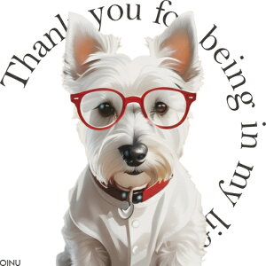 ���K�l �E�G�X�g�n�C�����h�z���C�g�e���A �Ԃ����K�l ���̕� �N�b�V�����J�o�[ 45×45cm �A�j�}���� ������� ���� �N�b�V�����{�̕t�� �����`