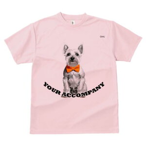 ~j`AViEU[ TVc  j[NfUCfB[X t@  t vg lJWA 킢 lԗp Mtg I ҏ΍ lN^C ~j`AViEU