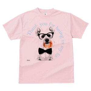 EGXgnChzCgeA TVc  j[NfUCfB[X t@  t vg lJWA 킢 lԗp Mtg I ҏ΍ Kl EGXgnC