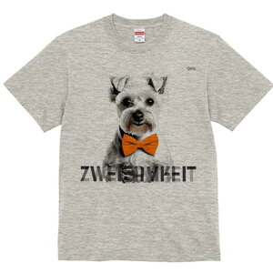 ~j`AViEU[ TVc  j[NfUCfB[X t@  t vg lJWA 킢 lԗp Mtg I ҏ΍ lN^C ~j`AViEU