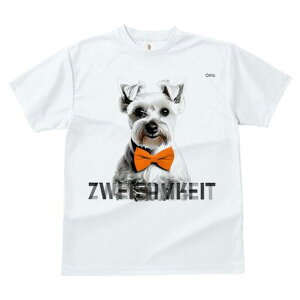 ~j`AViEU[ TVc  j[NfUCfB[X t@  t vg lJWA 킢 lԗp Mtg I ҏ΍ lN^C ~j`AViEU