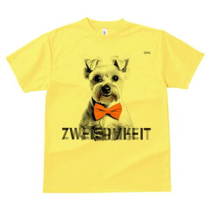 ~j`AViEU[ TVc  j[NfUCfB[X t@  t vg lJWA 킢 lԗp Mtg I ҏ΍ lN^C ~j`AViEU