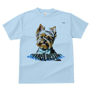 [NV[eA TVc  j[NfUCfB[X t@  t vg lJWA 킢 lԗp Mtg I ҏ΍ Kl [NV[eA lN^