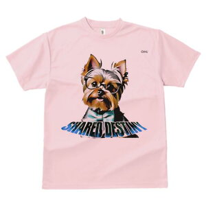 [NV[eA TVc  j[NfUCfB[X t@  t vg lJWA 킢 lԗp Mtg I ҏ΍ Kl [NV[eA lN^