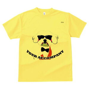 }`[Y TVc  j[NfUCfB[X t@  t vg lJWA 킢 lԗp Mtg I ҏ΍ TOX }`[Y lN^C