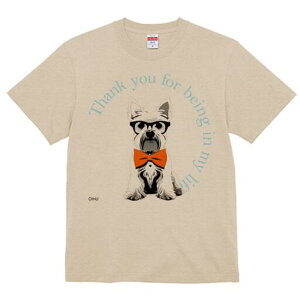 EGXgnChzCgeA TVc  j[NfUCY LbY t@  t vg lJWA 킢 lԗp Mtg I ҏ΍ Kl EGXgn