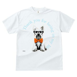 EGXgnChzCgeA TVc  j[NfUCfB[X t@  t vg lJWA 킢 lԗp Mtg I ҏ΍ Kl EGXgnC