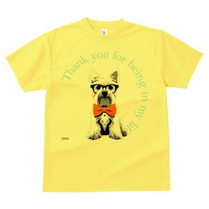 EGXgnChzCgeA TVc  j[NfUCfB[X t@  t vg lJWA 킢 lԗp Mtg I ҏ΍ Kl EGXgnC