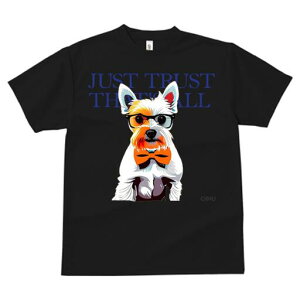 EGXgnChzCgeA TVc  j[NfUCfB[X t@  t vg lJWA 킢 lԗp Mtg I ҏ΍ Kl EGXgnC