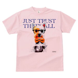 EGXgnChzCgeA TVc  j[NfUCY LbY t@  t vg lJWA 킢 lԗp Mtg I ҏ΍ Kl EGXgn