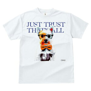 EGXgnChzCgeA TVc  j[NfUCY LbY t@  t vg lJWA 킢 lԗp Mtg I ҏ΍ Kl EGXgn