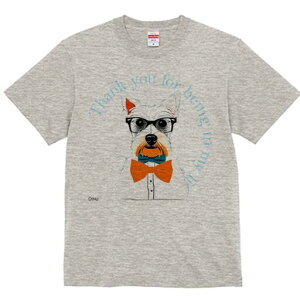 EGXgnChzCgeA TVc  j[NfUCfB[X t@  t vg lJWA 킢 lԗp Mtg I ҏ΍ Kl EGXgnC