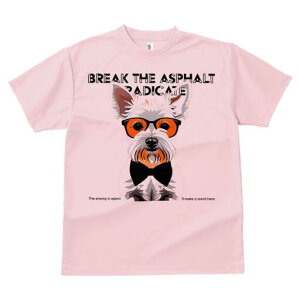 EGXgnChzCgeA TVc  j[NfUCfB[X t@  t vg lJWA 킢 lԗp Mtg I ҏ΍ Kl EGXgnC