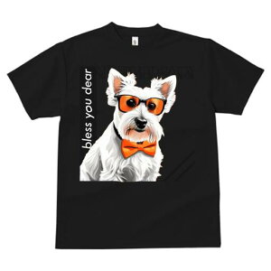 EGXgnChzCgeA TVc  j[NfUCfB[X t@  t vg lJWA 킢 lԗp Mtg I ҏ΍ Kl EGXgnC