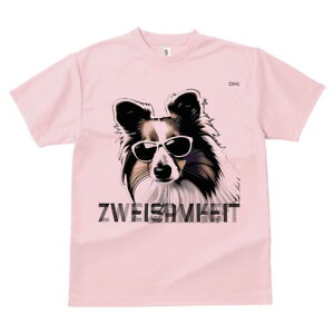 VFbghV[vhbO TVc  j[NfUCfB[X t@  t vg lJWA 킢 lԗp Mtg I ҏ΍ TOX VFbghV