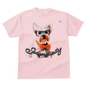 EGXgnChzCgeA TVc  j[NfUCY LbY t@  t vg lJWA 킢 lԗp Mtg I ҏ΍ Kl EGXgn