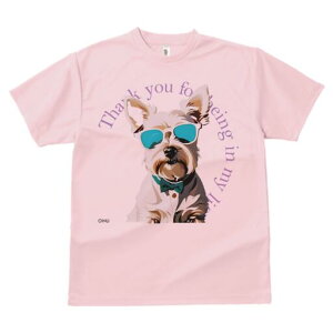 EGXgnChzCgeA TVc  j[NfUCfB[X t@  t vg lJWA 킢 lԗp Mtg I ҏ΍ TOX EGXgn