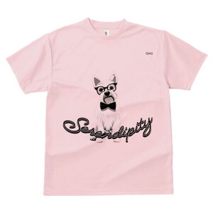 EGXgnChzCgeA TVc  j[NfUCfB[X t@  t vg lJWA 킢 lԗp Mtg I ҏ΍ Kl EGXgnC