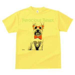 EGXgnChzCgeA TVc  j[NfUCfB[X t@  t vg lJWA 킢 lԗp Mtg I ҏ΍ Kl EGXgnC