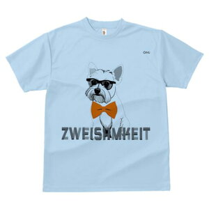 EGXgnChzCgeA TVc  j[NfUCfB[X t@  t vg lJWA 킢 lԗp Mtg I ҏ΍ Kl EGXgnC