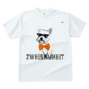 EGXgnChzCgeA TVc  j[NfUCfB[X t@  t vg lJWA 킢 lԗp Mtg I ҏ΍ Kl EGXgnC