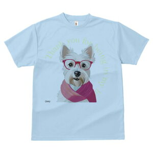 EGXgnChzCgeA TVc  j[NfUCY LbY t@  t vg lJWA 킢 lԗp Mtg I ҏ΍ Kl EGXgn