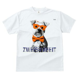 ~j`AViEU[ TVc  j[NfUCfB[X t@  t vg lJWA 킢 lԗp Mtg I ҏ΍ Kl ~j`AViEU[ 