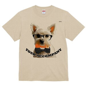 EFXgnChzCgeA TVc  j[NfUCfB[X t@  t vg lJWA 킢 lԗp Mtg I ҏ΍ Kl EFXgnC