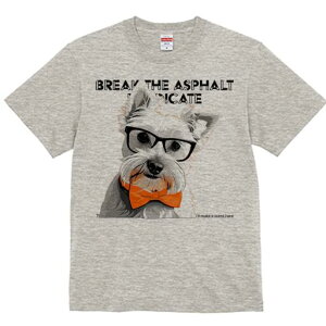 EGXgnChzCgeA TVc  j[NfUCY LbY t@  t vg lJWA 킢 lԗp Mtg I ҏ΍ lN^C EGX