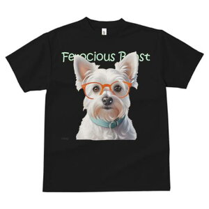 EGXgnChzCgeA TVc  j[NfUCY LbY t@  t vg lJWA 킢 lԗp Mtg I ҏ΍ Kl EGXgn