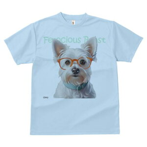 EGXgnChzCgeA TVc  j[NfUCY LbY t@  t vg lJWA 킢 lԗp Mtg I ҏ΍ Kl EGXgn