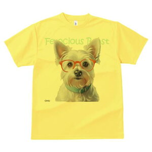 EGXgnChzCgeA TVc  j[NfUCfB[X t@  t vg lJWA 킢 lԗp Mtg I ҏ΍ Kl EGXgnC