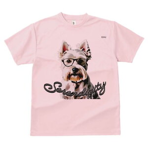 EGXgnChzCgeA TVc  j[NfUCfB[X t@  t vg lJWA 킢 lԗp Mtg I ҏ΍ Kl EGXgnC