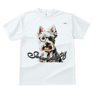 EGXgnChzCgeA TVc  j[NfUCfB[X t@  t vg lJWA 킢 lԗp Mtg I ҏ΍ Kl EGXgnC